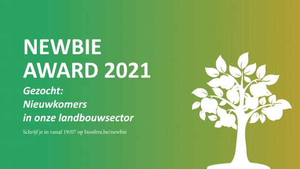 Banner NEWBIE award - groene achtergrond met een witte boom