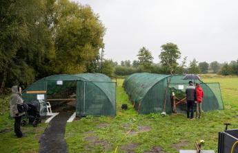 Serre met slakkenteelt