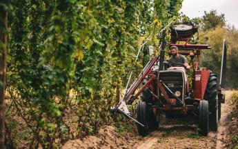 tractor oogst de hop