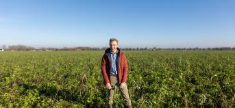 Joeri Dewelde op een perceel met groenbedekkers